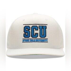 NWOT Steve Austin Hat Snapback Stone Cold University WWE Wrestlemania RAW White